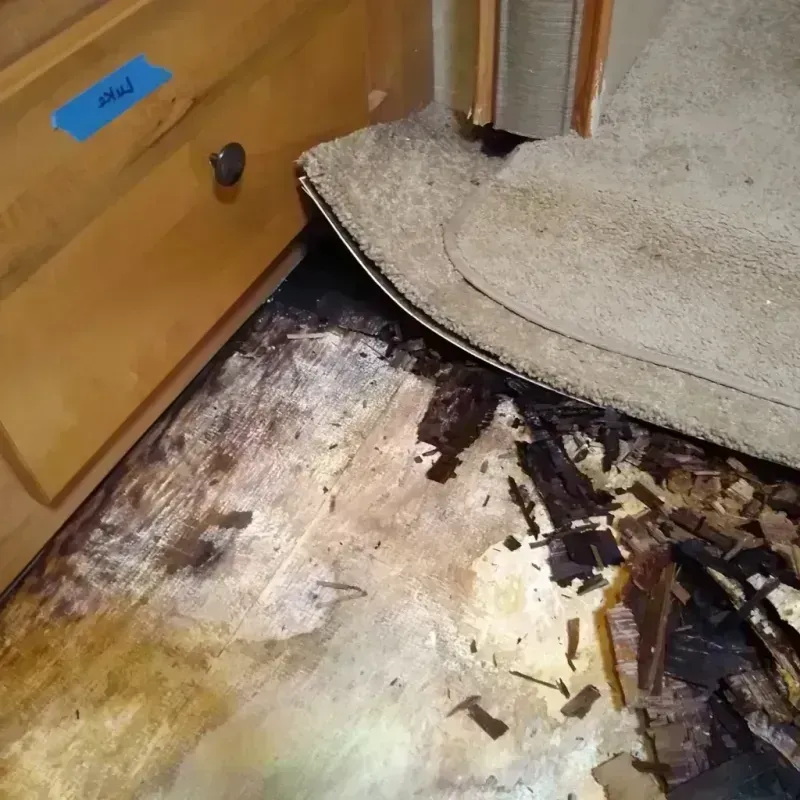 Wood Floor Water Damage in Cartersville, GA